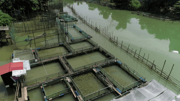 Văn Quan phấn đấu phát triển kinh tế - xã hội  tăng trưởng đạt 8% trở lên năm 2025